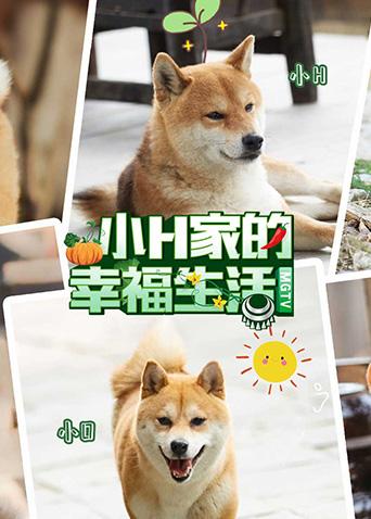 秋霞理论免费免费观看