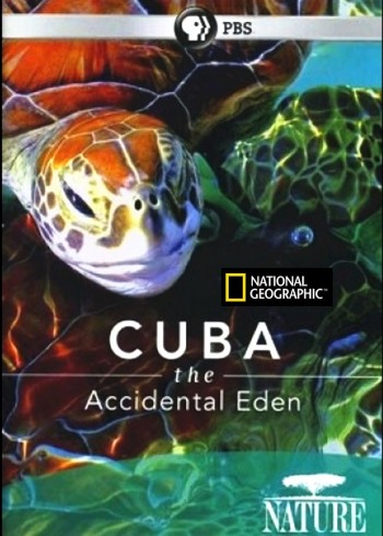 古巴:意外的伊甸园