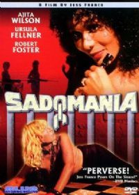 免费看AV的不卡网站