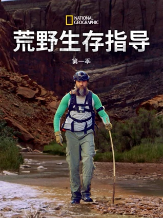 另类欧美成人在线视频