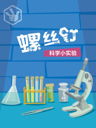 功夫阿宝：天下无拐