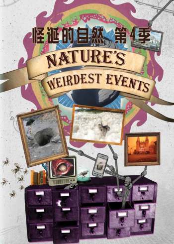 怪诞的自然4
